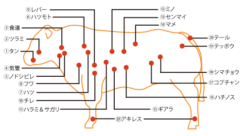 牛の内臓